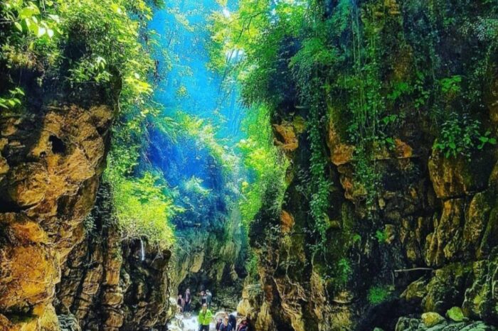 کمپ جنگلی ساحل نوشهر و تنگه دار
