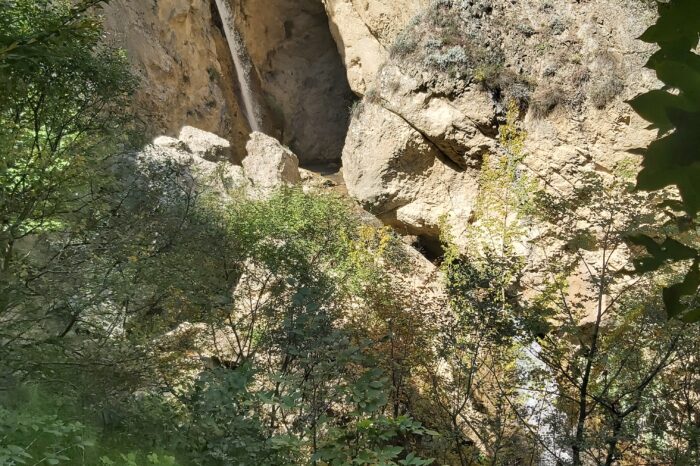 آبشار جنگلی آراج